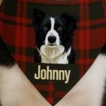 Custom Photo Pet Scarf 4 custom photo pet scarf high quality pet portrait small pick and print v2