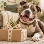 Best Pet Accessory Gift Ideas for Dogs and Their People pick and print