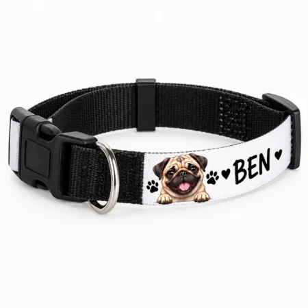 Personalized Pet Collar